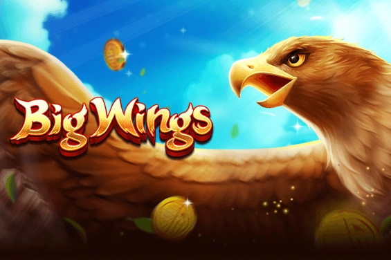 01732 big wings