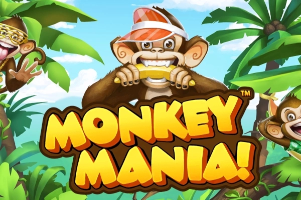 17388 monkey mania