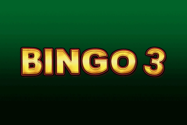 24881 bingo 3